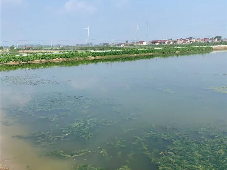 养殖基地