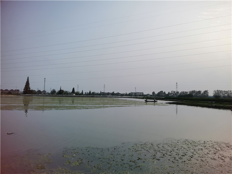 养殖基地